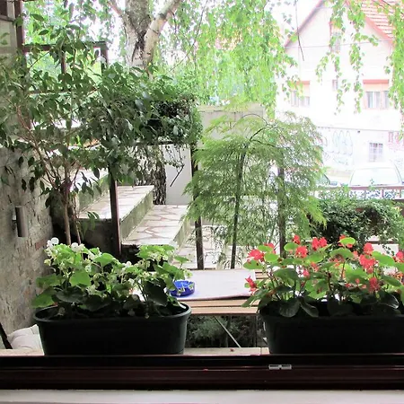 B&s Lägenhet Belgrad